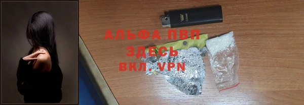 стафф Лабытнанги