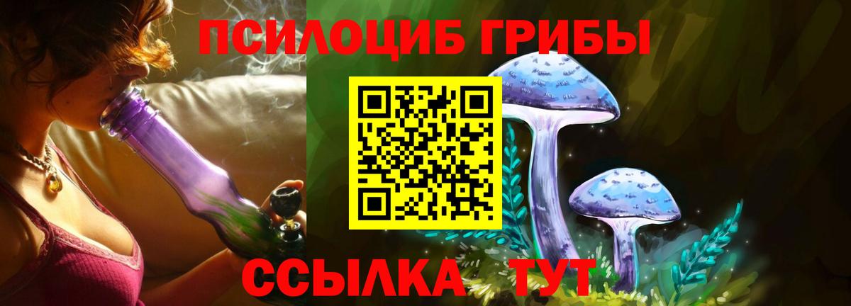где купить наркоту  Псилоцибиновые грибы Cubensis  Вход с VPN  Оренбург 